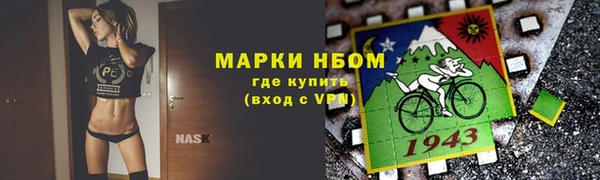 стаф Баксан