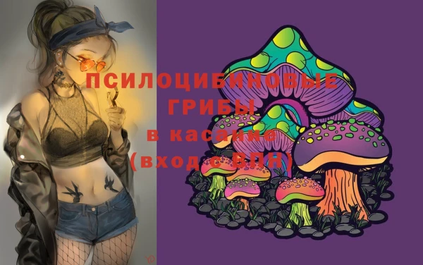 стаф Баксан