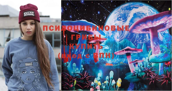 стаф Баксан