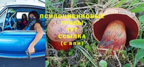 прущие крисы Надым